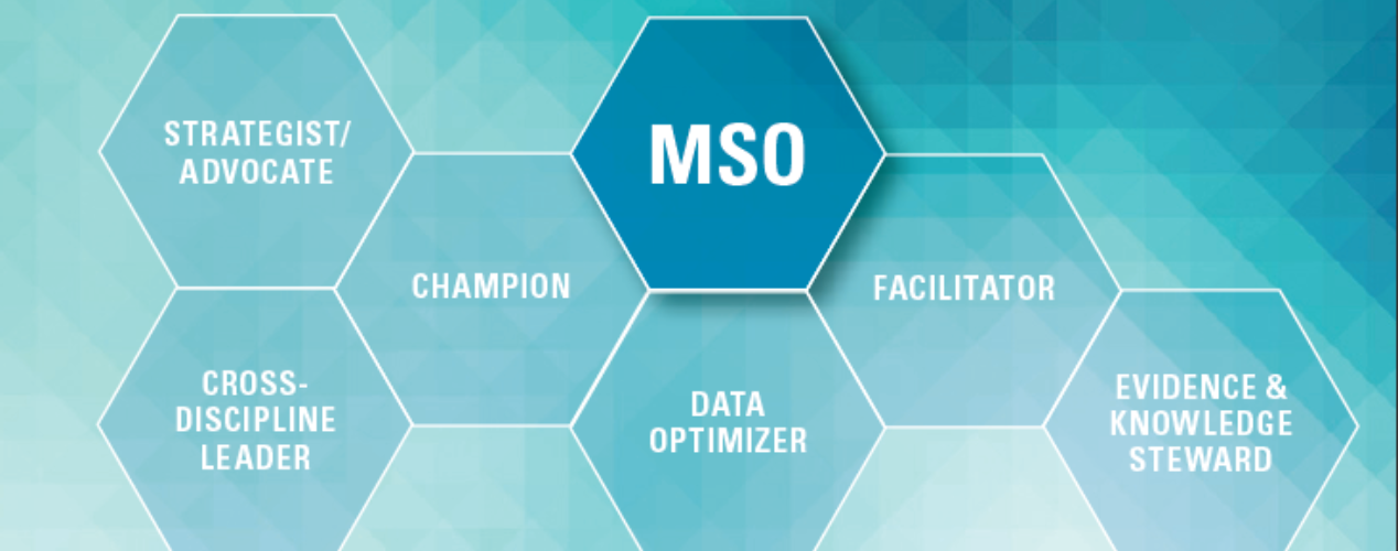 A Call to Action: The Case for Medication Safety Officers (MSO)